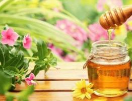 Полезные свойства, противопоказания и состав цветочного меда Как делают цветочный мед