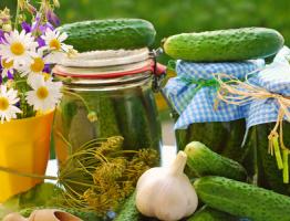 Simple recipes for pickled cucumbers for the winter