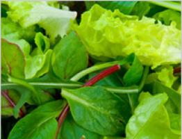 Recept a zöldségek téli elkészítéséhez sóban lépésről lépésre Zöldségek és fűszernövények sóval télre